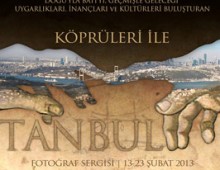 Istanbul’s Bridges Poster